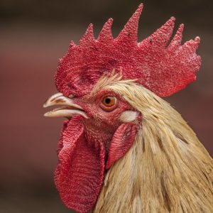 豆包aio 资料核对岗陆行简在书架前比对两份打印材料，右手按着纸页，桌上摊着贴了彩色便签的核对清单